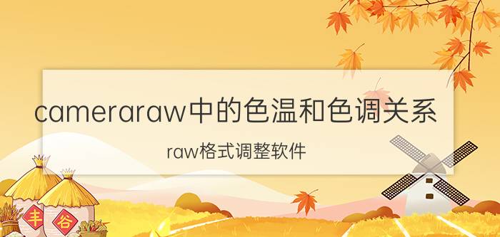 cameraraw中的色温和色调关系 raw格式调整软件？